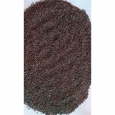 unitattva black mustard seeds