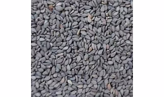 Black Sesame Seeds
