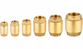 Brass Check Valves