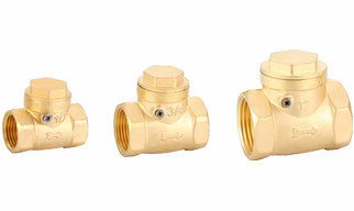 Brass Non Return Valve