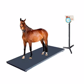 Animal Weighing Scale 1 Ton