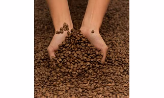 Coffee Beans Arabica & Robusta
