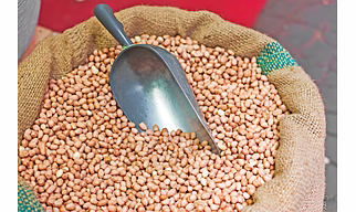 Groundnuts (Peanuts)
