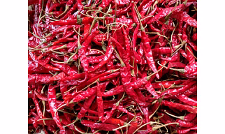 S17 Teja Dry Red Chilli