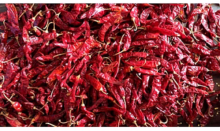341 Dry Red Chilli