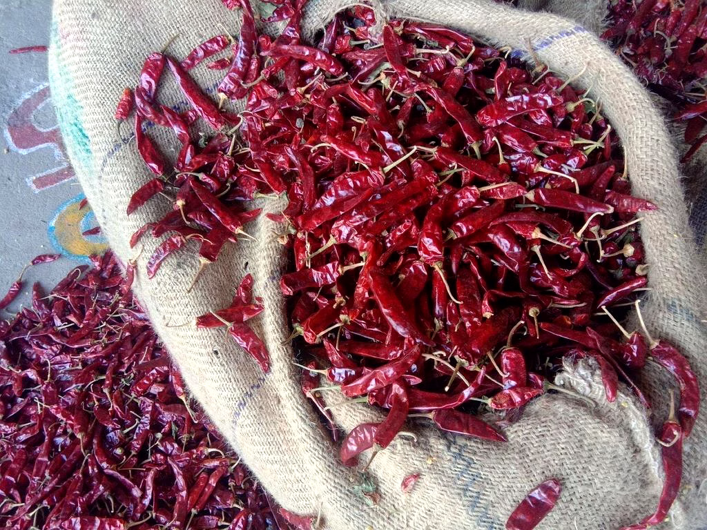 341 Dry Red Chilli image 2