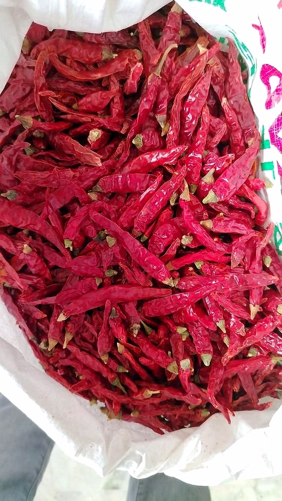 Armoor Dry Red Chilli image 1