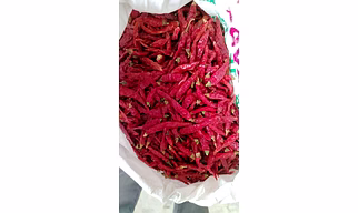 Armoor Dry Red Chilli