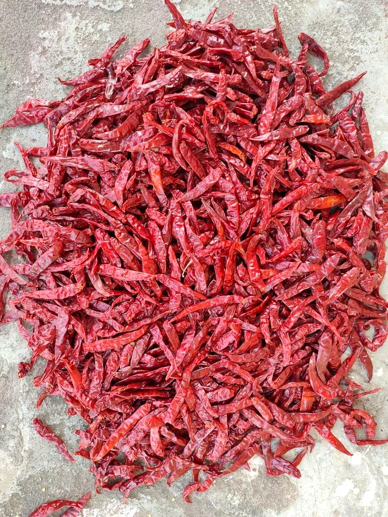 Armoor Dry Red Chilli image 2