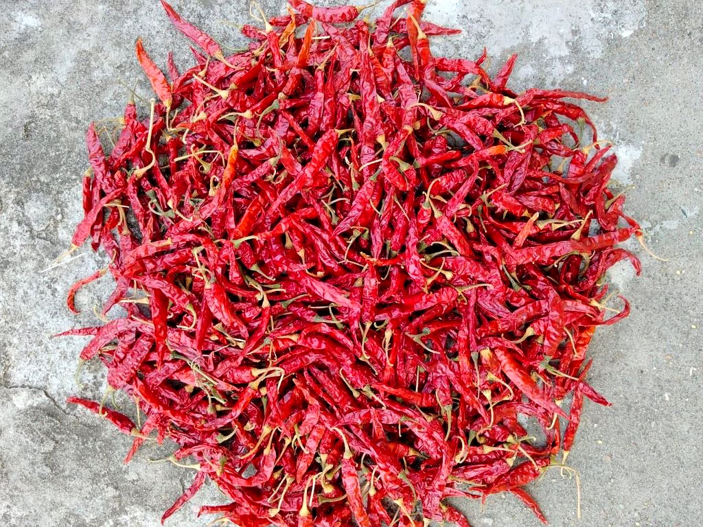 Armoor Dry Red Chilli image 3