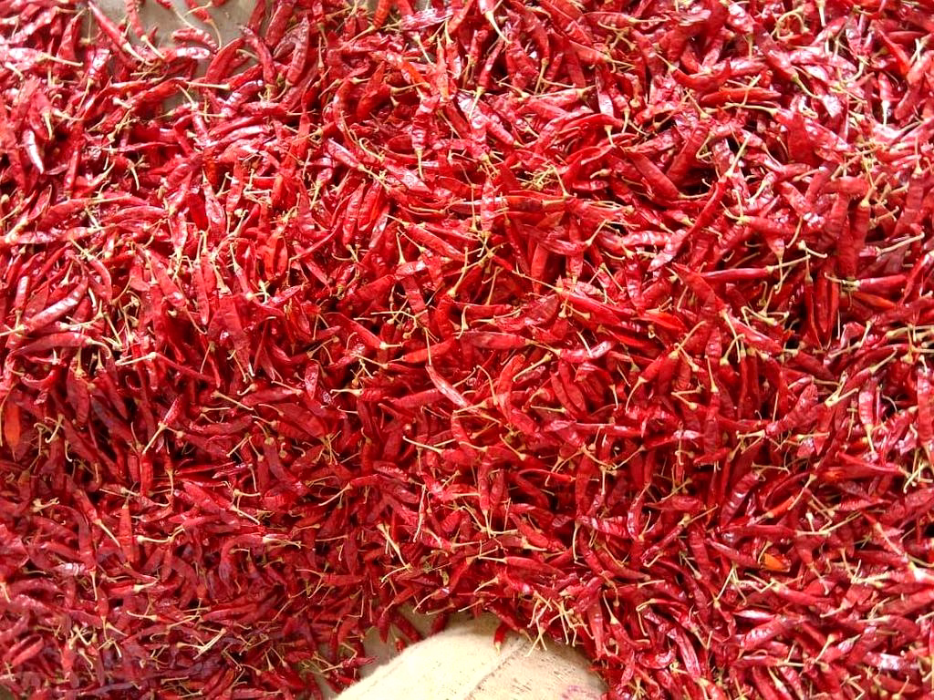 334/S4/S10/Sannam Dry Red Chilli image 3