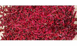 Classic Dry Red Chilli