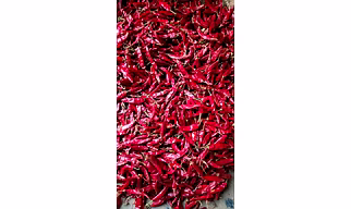 Bangaram Dry Red Chilli