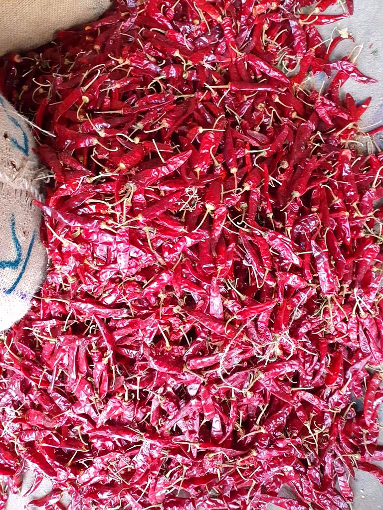 endo 5/no 5 dry red chilli