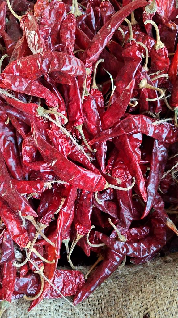 Endo 5/No 5 Dry Red Chilli image 2