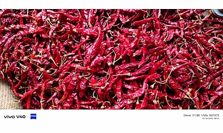 Devanur Deluxe DD Dry Red Chilli
