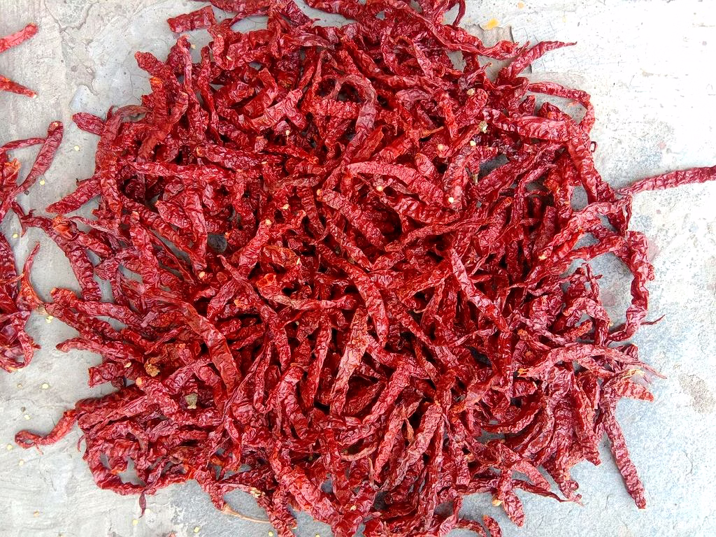 355 Byadgi Dry Red Chilli image 1