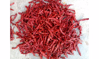 355 Byadgi Dry Red Chilli