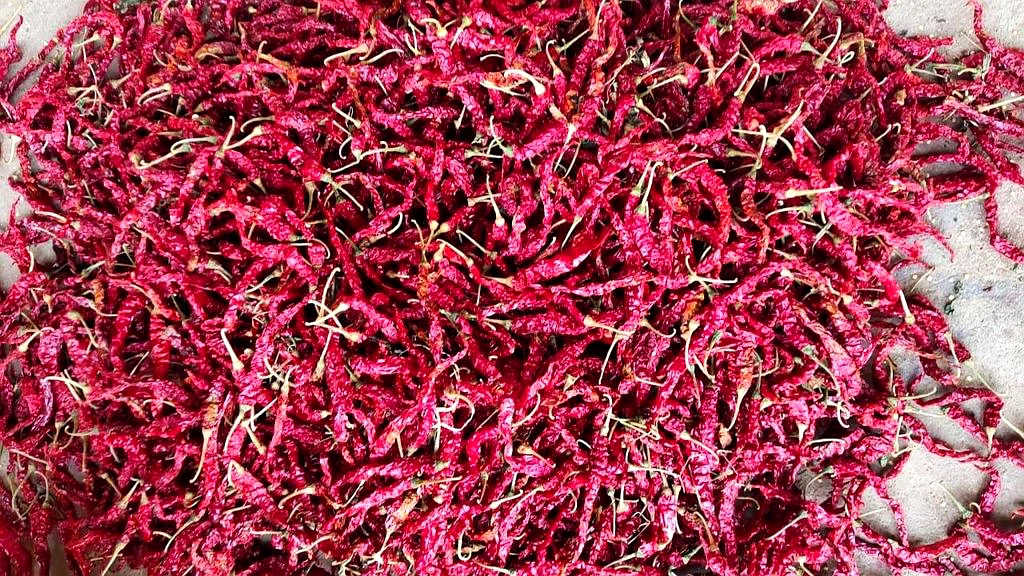 355 Byadgi Dry Red Chilli image 2