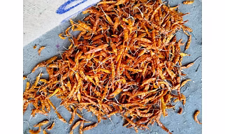 Dried Yellow Chilli/Dry Yellow Chilli