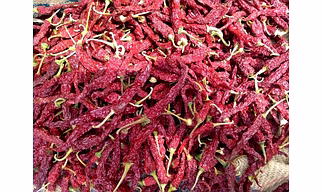 Kashmiri Dry Red Chilli