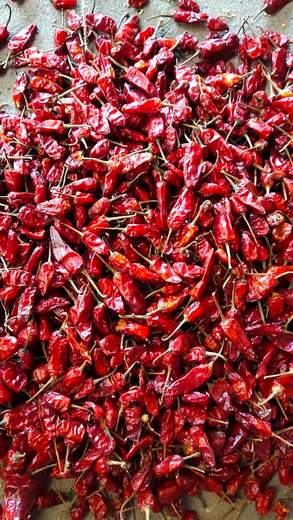 bullet dry red chilli