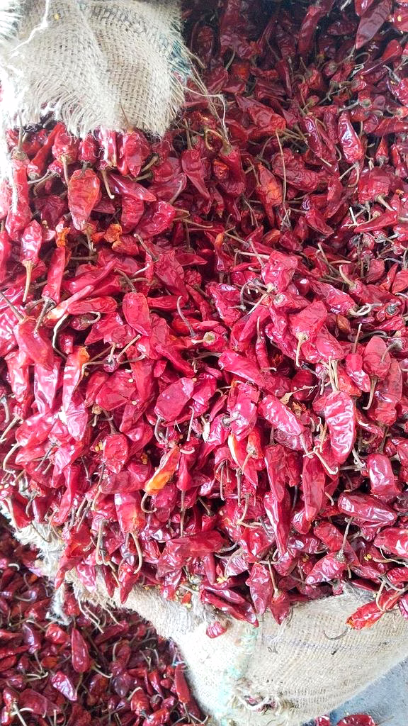 Bullet Dry Red Chilli image 3