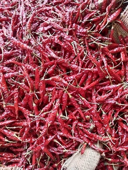 Romi 26 Dry Red Chilli image 3