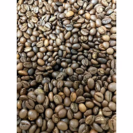 robusta cherry coffee