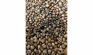 Robusta cherry coffee