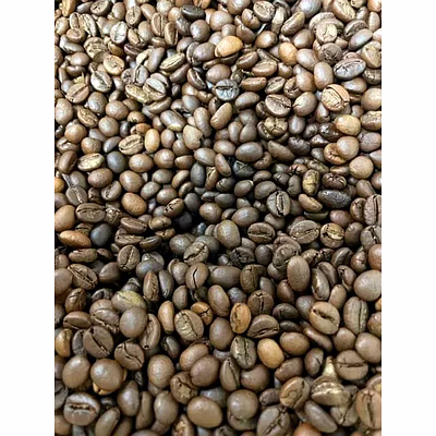 robusta cherry coffee