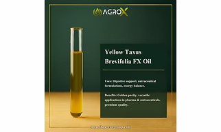 Taxus Brevifolia Extract Oil