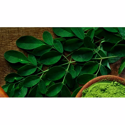 moringa leaves powder