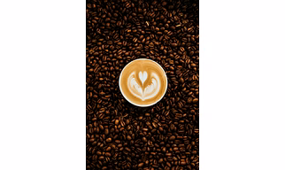 Arabica/Robusta/Liberica Coffee