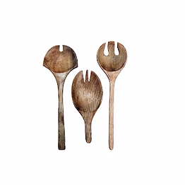 wooden spoon , spatula