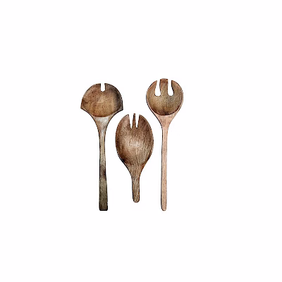 wooden spoon , spatula