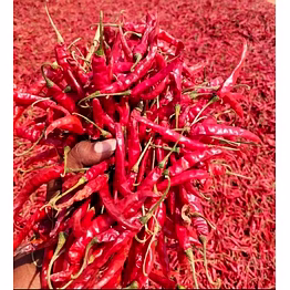 indian red chilli , (whole / powder) “premium guntur red chilli powder high asta – bulk export supply”
