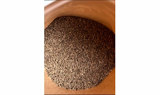 Indian Cumin Seeds (Jeera) , “Premium Sortex Clean Cumin Seeds – Bulk Jeera Export India” ,“High Purity, High Aroma Indian Cumin Seeds with Verified Quality Standards.”