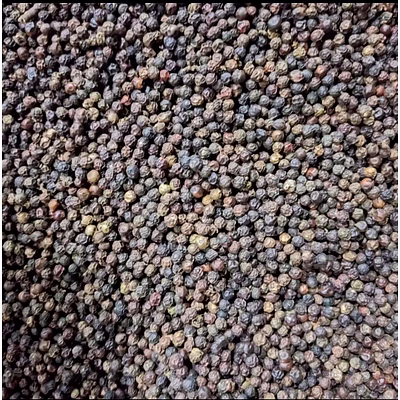 indian black pepper (काली मिर्च) , high piperine indian black pepper with verified quality & international standards.”