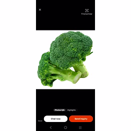 export quality dehydrated broccoli powder for nutraceutical use – high purity green powder