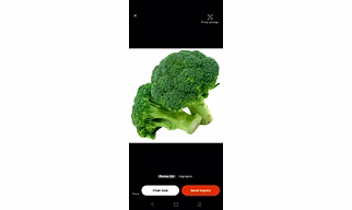 Export Quality Dehydrated Broccoli Powder for Nutraceutical Use – High Purity Green Powder