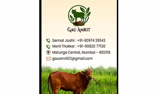 cow dung manure