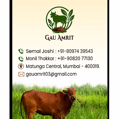 cow dung manure