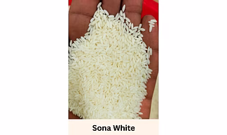 Sona Masoori White Rice,  Moisture less than 13%, 5% Broken,