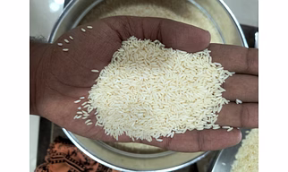 RNR 15048 Cream Rice 5% broken 13% moisture