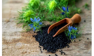 NIGELLA , BLACK CUMIN , NIGELLA SATIVA