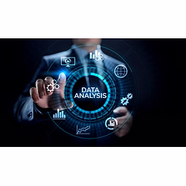 data analyst