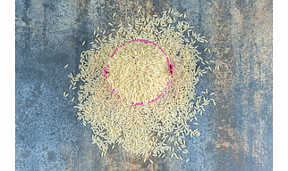 Best Quality Non Basmati Rice Exporter from India