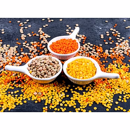 adk best quality chickpeas, lentils & beans supplier