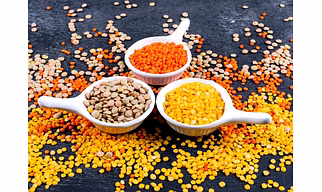Best Quality Chickpeas, Lentils & Beans Supplier
